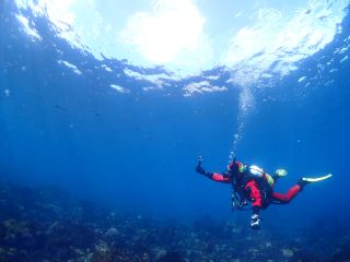 ダイブヒーリングの最新写真