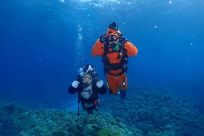 ディーズパルス沖縄の最新写真