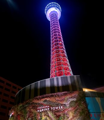 横浜マリンタワーの最新写真