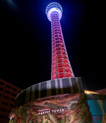 横浜マリンタワーの割引プラン