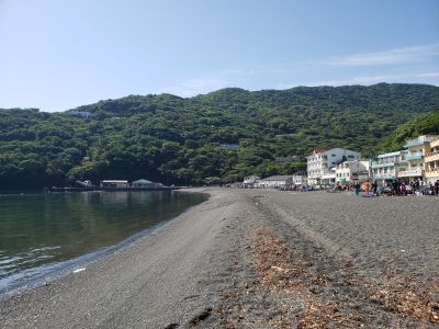 大瀬崎ダイバーズインフジミの最新写真