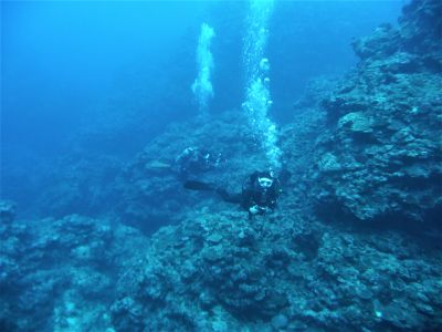 海の遊び処 なかゆくいの最新写真