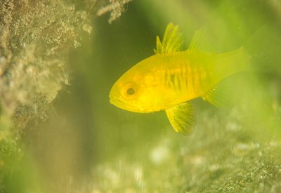 大分ダイビングサービスSEDNAの最新写真