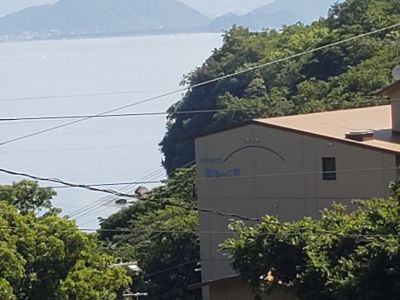 サンライズ大瀬マリンサービスの最新写真