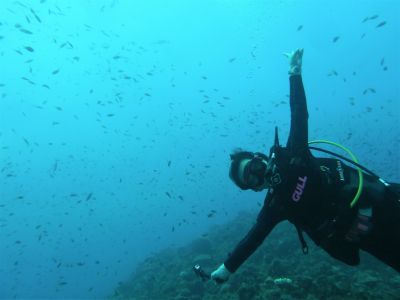 海の遊び処 なかゆくいの最新写真