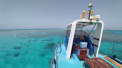 SENSE OF WONDERの最新写真