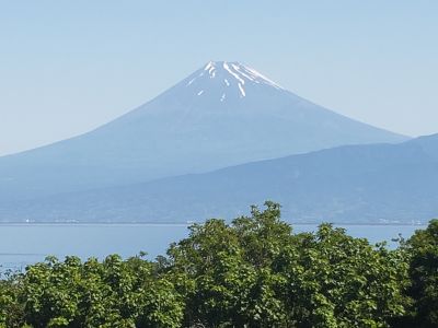 ダイビングサービス シーキングの最新写真