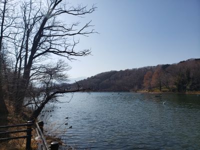 千代田湖 千和(せんわ)の最新写真