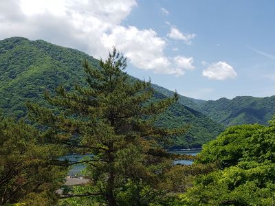 本栖湖ダイブリゾートの最新写真