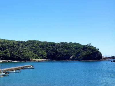 神子元マリンサービスの最新写真