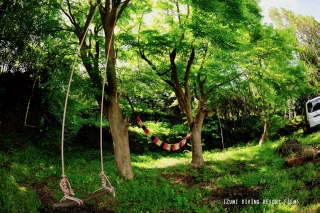 伊豆海ダイビングリゾートの最新写真