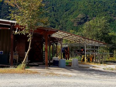 シャイニングフィールドの最新写真