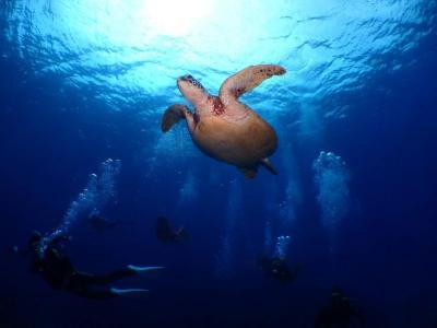 カイザーマリンクラブ