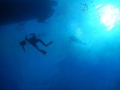 ヌヌ・アドベンチャー・..の最新写真