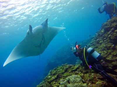 TAKU DIVE 石垣島