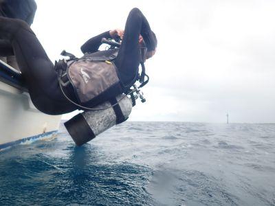 ヌヌ・アドベンチャー・..の最新写真