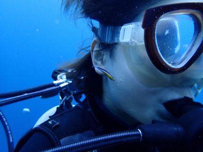 ヌヌ・アドベンチャー・..の最新写真