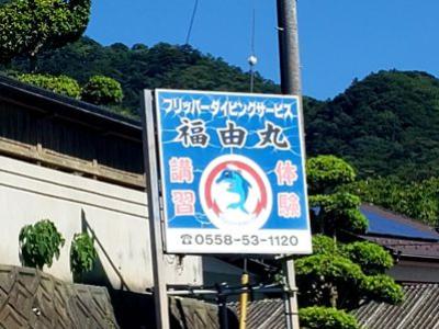 フリッパーダイビングサ..
