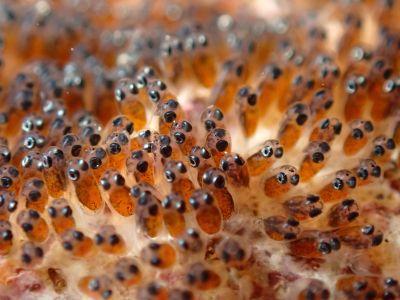 ヌヌ・アドベンチャー・..の最新写真