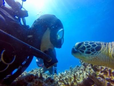 TAKU DIVE 石垣島