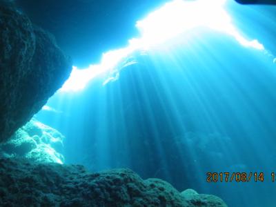 ＤＩＶＥ宮古島
