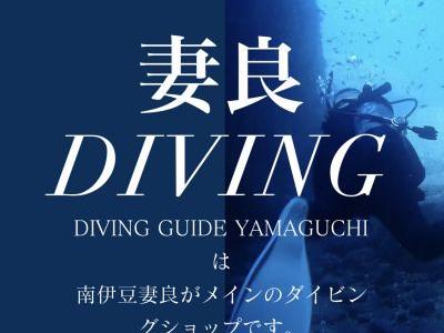 妻良DIVING