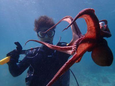 ヌヌ・アドベンチャー・..の最新写真