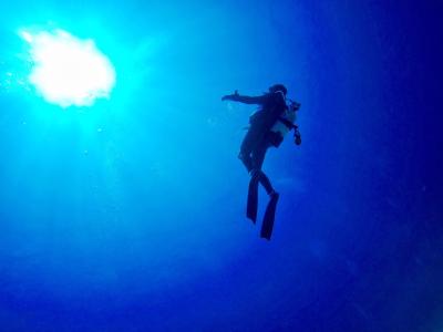 TAKU DIVE 石垣島