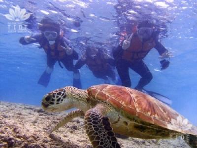 マリンサポートタイド・..の最新写真