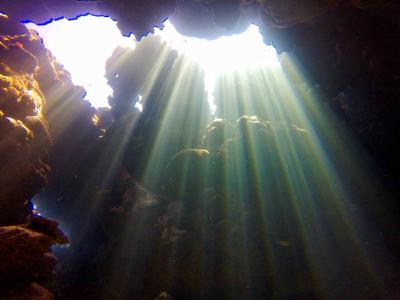 TAKU DIVE 石垣島