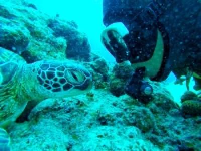 TAKU DIVE 石垣島