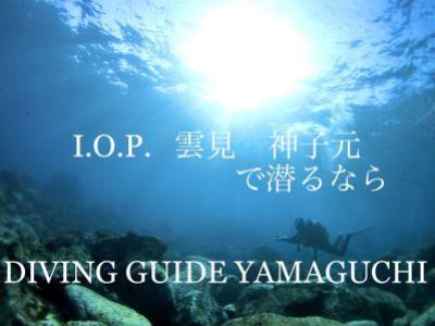 妻良DIVING