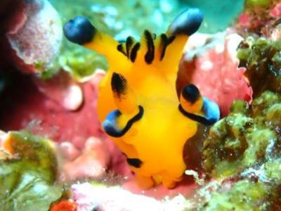 ヒートハートクラブ石垣島