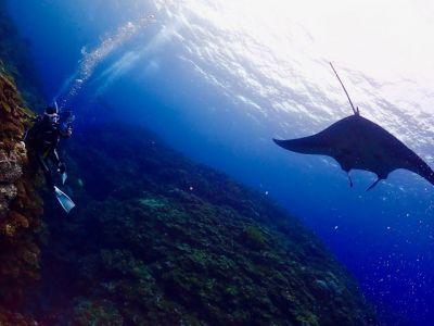 TAKU DIVE 石垣島