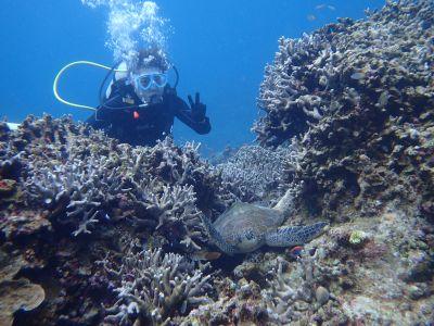 グローバルダイブ石垣島の最新画像