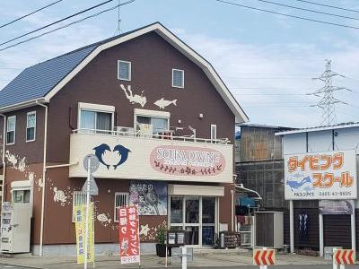 ドルフィンアイズダイビ..